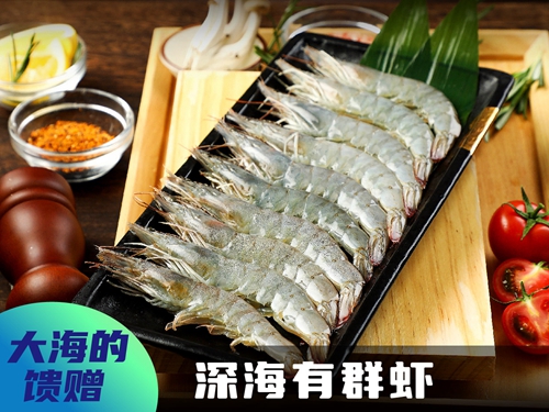 九田家投资